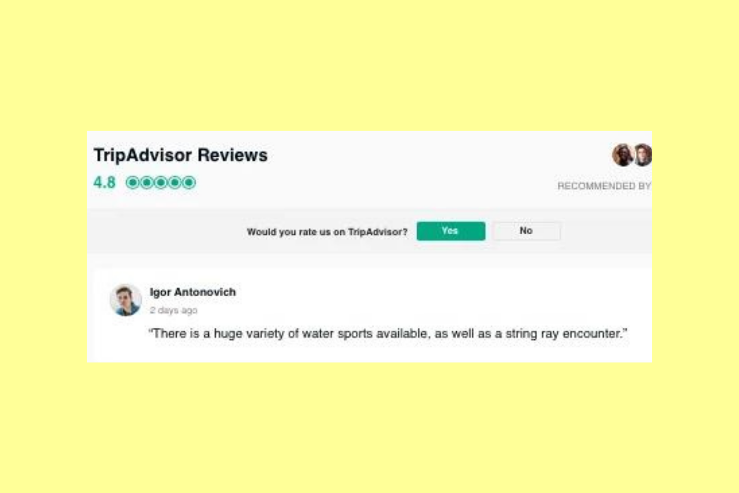 TripAdvisor's popularity ranking for hotels review widget