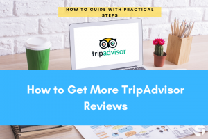 TripAdvisor Reviews