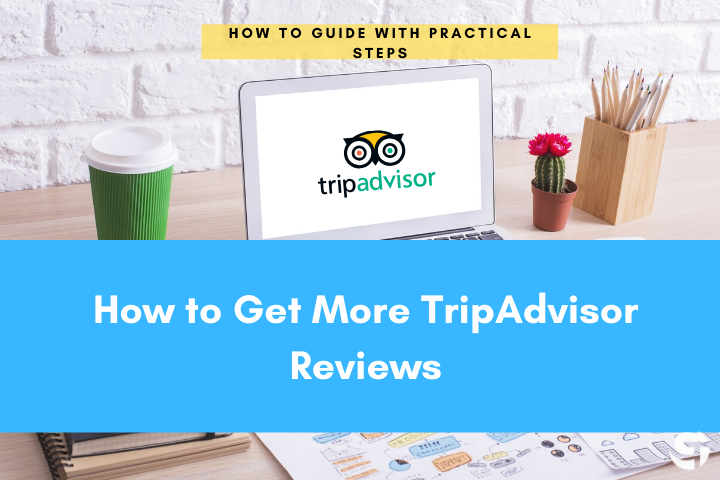 TripAdvisor Reviews