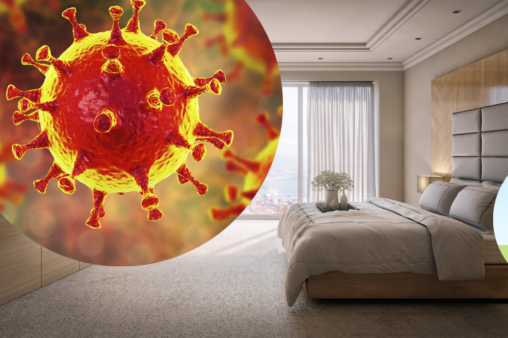 Hotel Bookings Amid Coronavirus Banner